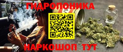jwh Будённовск