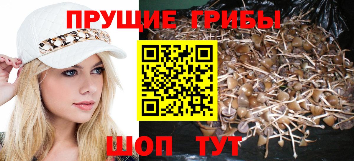 Галлюциногенные грибы мухоморы  купить наркотики сайты  Печора  Вход с VPN 